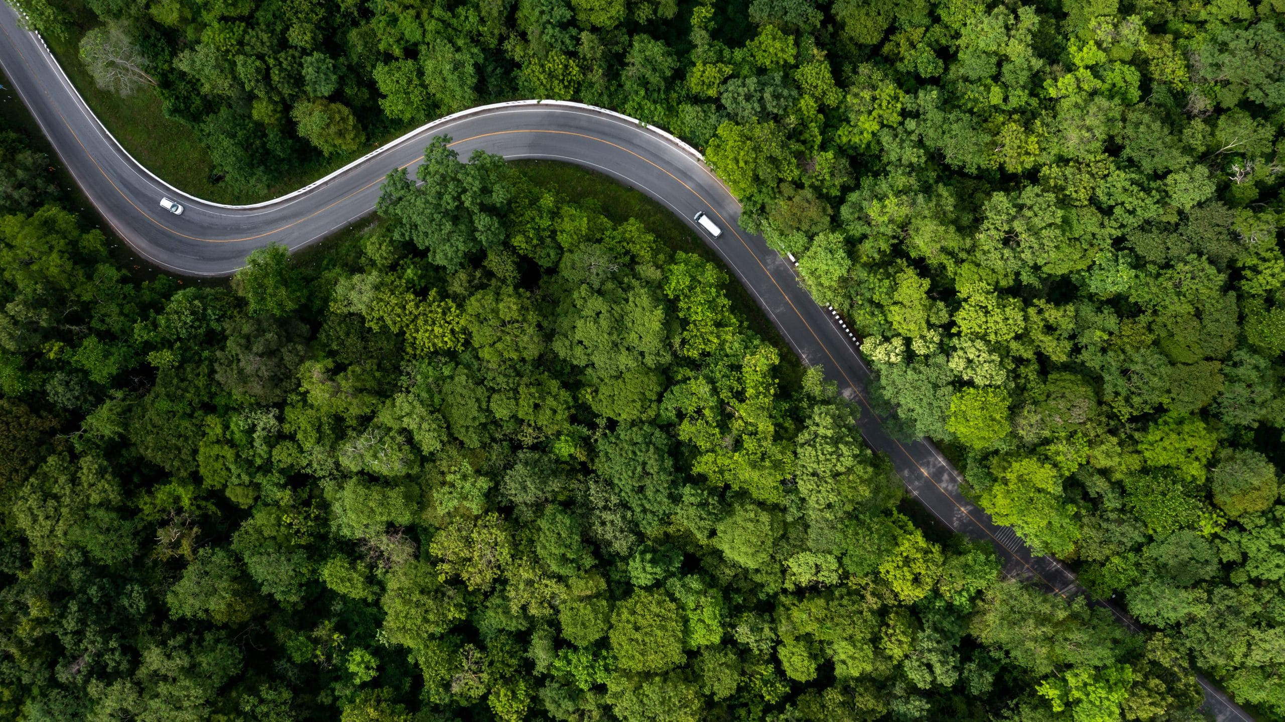 Aerial view of a winding road through lush green forest canopy